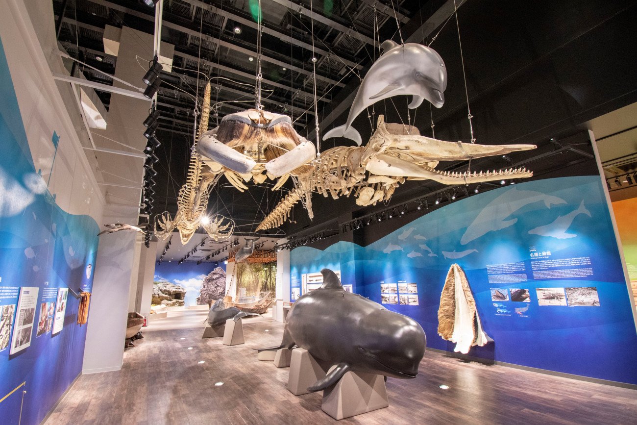 🏛️ 나고 박물관 (나고 하쿠부츠칸) 이미지 1